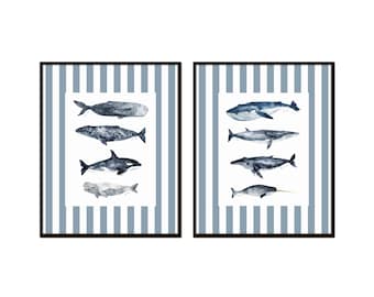 Conjunto de láminas de ballenas en acuarela, borde a rayas, arte giclée costero.