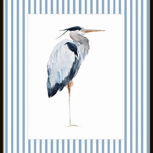 May include: A watercolor painting of a blue heron standing on one leg against a white background. The heron has a long, thin neck and a long, pointed beak. Its feathers are a mix of blue, gray, and white.