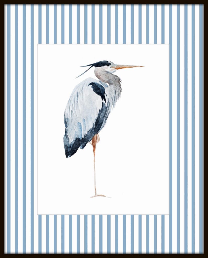 May include: A watercolor painting of a blue heron standing on one leg against a white background. The heron has a long, thin neck and a long, pointed beak. Its feathers are a mix of blue, gray, and white.