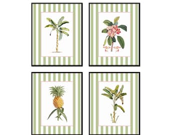Conjunto de láminas giclée botánicas tropicales vintage con franja verde, arte de palmeras, decoración costera
