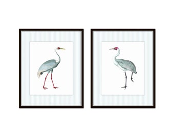 Tropical Sea Birds Giclee Print Set, Coastal Home Decor
