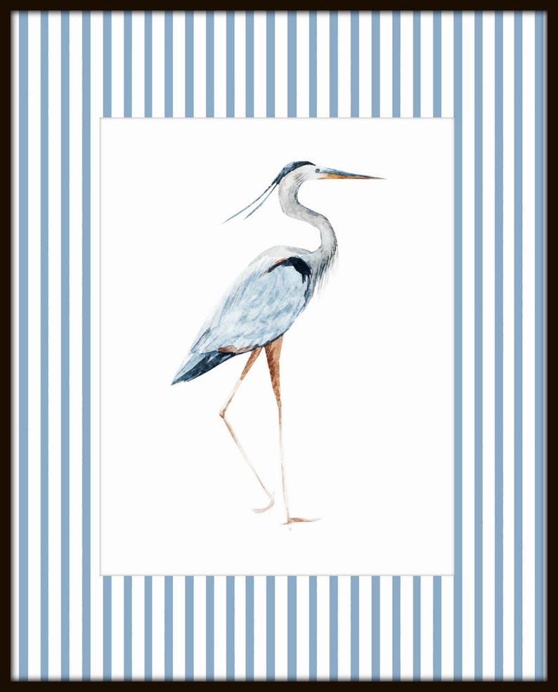 May include: A watercolor painting of a blue heron standing on one leg against a white background. The heron has a long neck and beak, and its feathers are a light blue color.