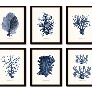 Vintage Coral Prints, Blue Sea Coral Print Set No. 3, Giclee, Art Print, Beach House Art, Coastal Home Decor, Coastal Art, Vintage Coral Art
