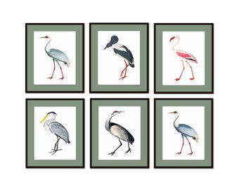 Sea Birds Collage Print Set No. 2  Vintage Bird Prints, Art Prints, Coastal Art, Home Decor, Wall Art, Coastal Decor, Beach House Decor