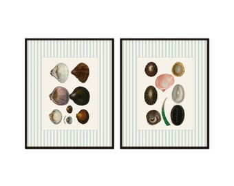 Juego de 2 láminas giclée antiguas con motivos de conchas marinas, rayas azules minerales, arte costero.