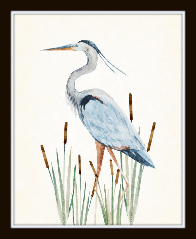 Watercolor Heron Print Set No. 1, Bird Prints, Coastal Art, Art Print, Sea Bird Prints, Home Decor, Wall Art, Coastal Decor, Beach House Art zdjęcie 5