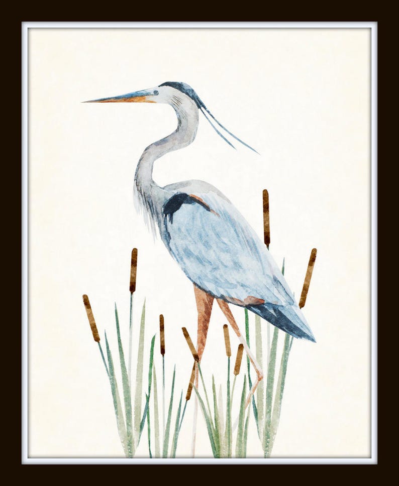 Watercolor Heron Print Set No. 1, Bird Prints, Coastal Art, Art Print, Coastal Art, Home Decor, Wall Art, Coastal Decor, Beach Cottage Decor image 5