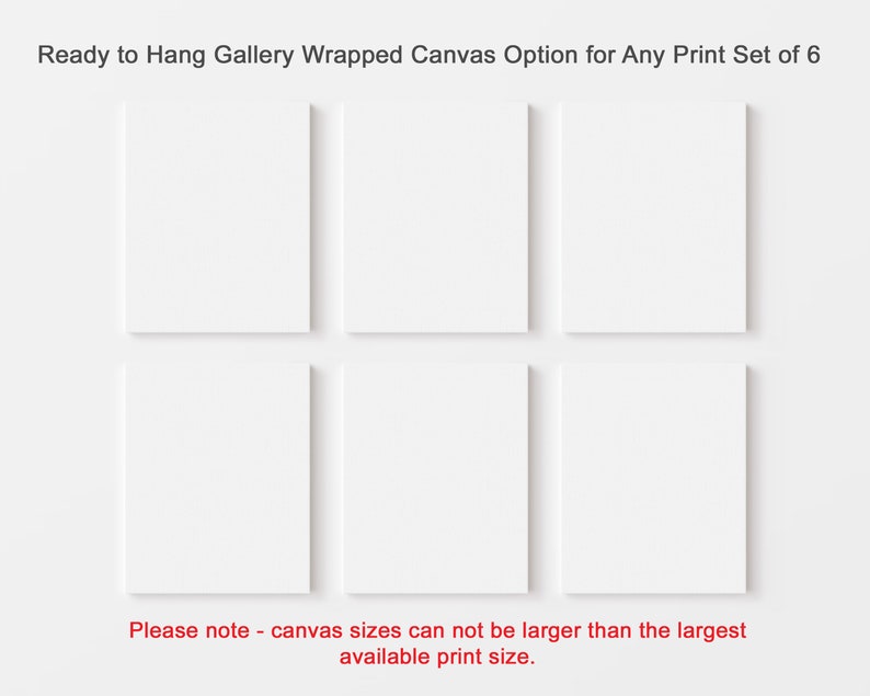Any Set of Six Prints from the Shop on Gallery Wrapped Canvas, Vertical Portrait Format, Ready to Hang image 2