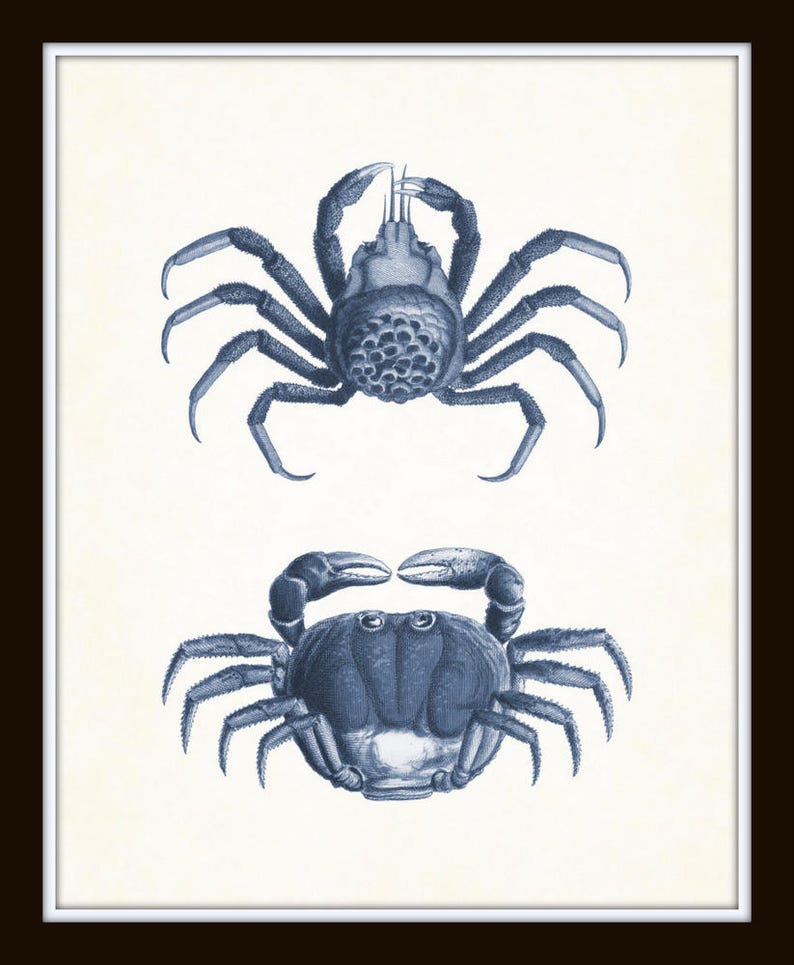 Vintage Blue Crabs Print Set No. 2 Crab Prints Wall Art Art Etsy