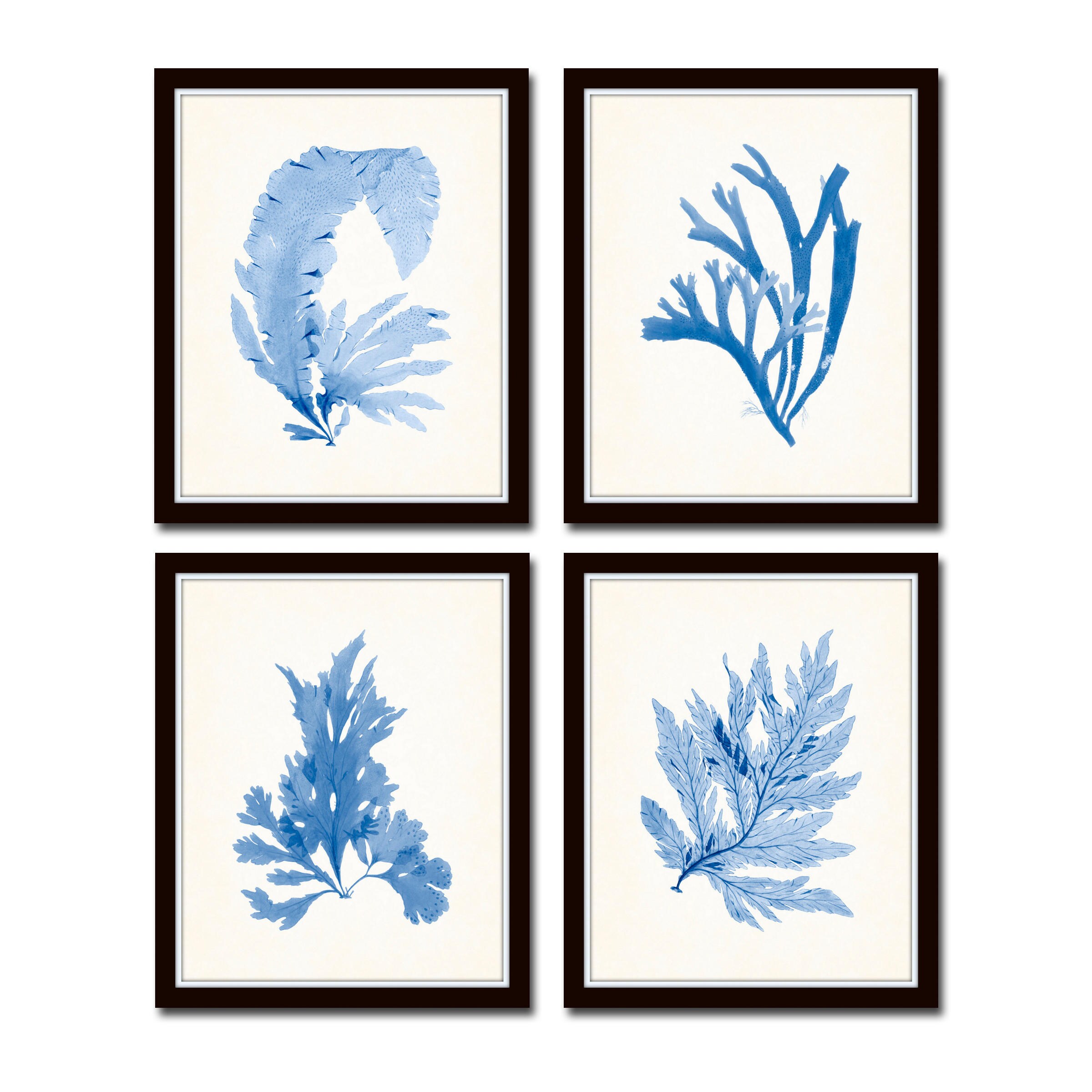Blue Seaweed Giclee Print Set, Vintage Coastal Wall Art - Etsy