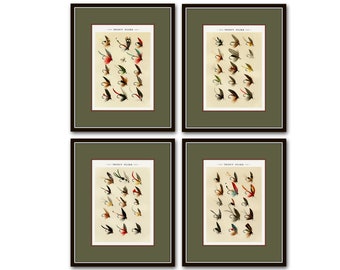 Vintage Fly Fishing Print Set No. 1, Fly Fishing Flies, Fishing Art, Sportsman Art, Cabin Art, Vintage Fishing Art, Lodge Decor, Trout Art