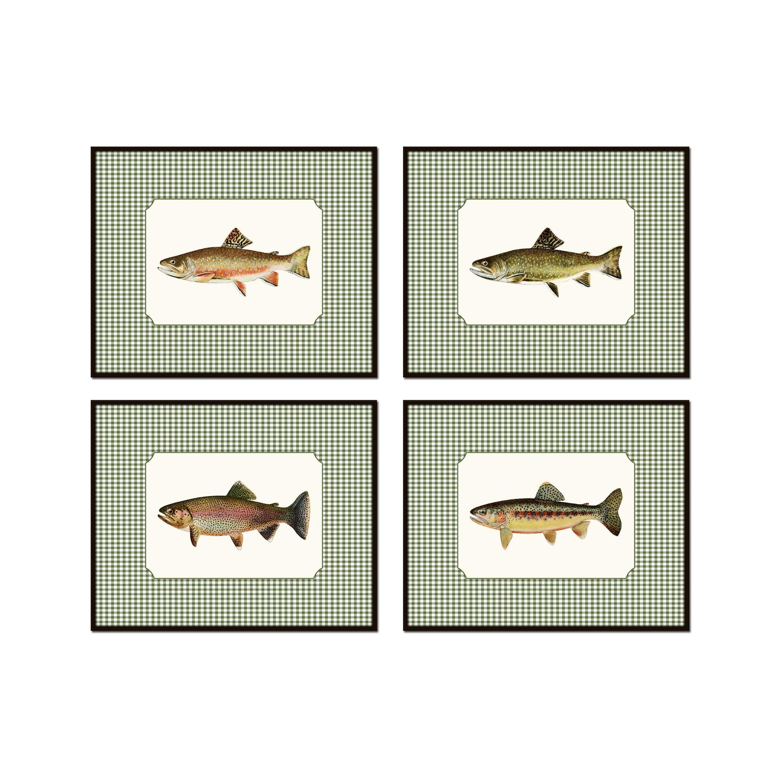 Vintage Trout Print Set with Green Gingham Border, Vintage Fish Art, Hunt Club Art, Angler Art, Art Prints, Wall Decor - Set of 4 10x8 inches