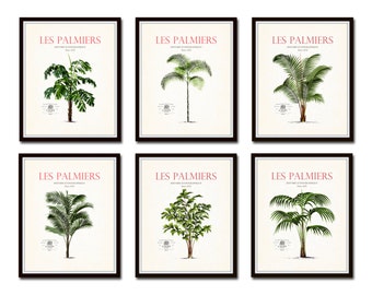 Vintage French Palm Tree Print Set No. 12, Giclee, Wall Art, Prints, Palm Tree Print, Beach Decor, Coastal Art, Botanical Print Set, Collage