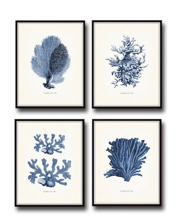 Vintage Indigo Blue Sea Coral Print Set No. 2, Giclee Art Print, Beach House Art, Coastal Art, Sea Coral Print, Vintage Coral Prints