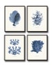 Vintage Indigo Blue Sea Coral Print Set No. 2, Giclee Art Print, Beach House Art, Coastal Art, Prints and Posters, Coral Print, Illustration