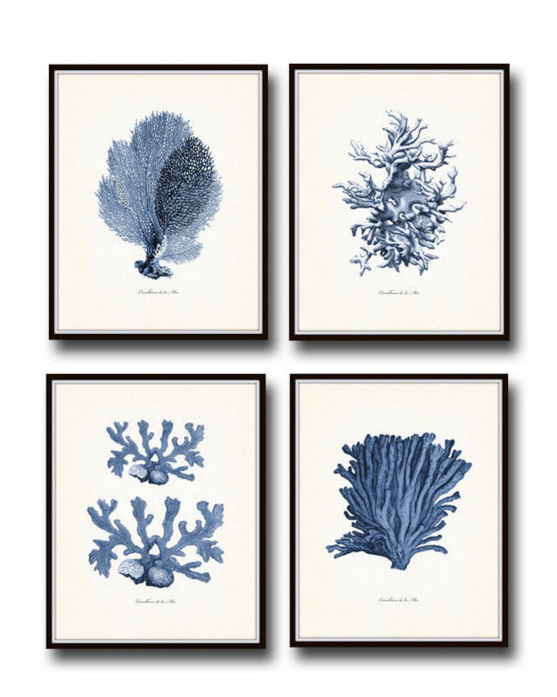 Vintage Indigo Blue Sea Coral Print Set No. 2, Giclee Art Print, Beach House Art, Coastal Art, Prints and Posters, Coral Print, Illustration image 1