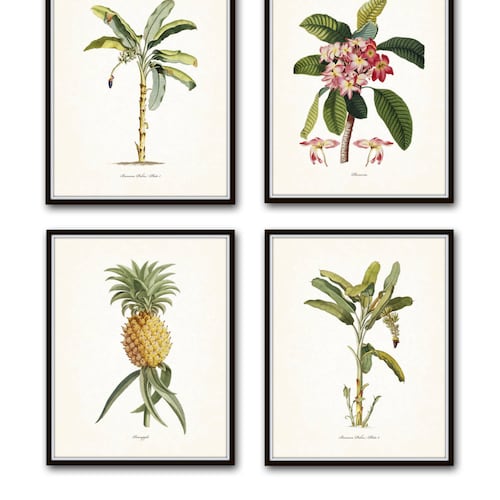 Vintage Tropical Botanical Print Set No. 1, Giclee Prints, Beach House Art, Coastal Art, Tropical Botanical Prints, Palm Tree Prints