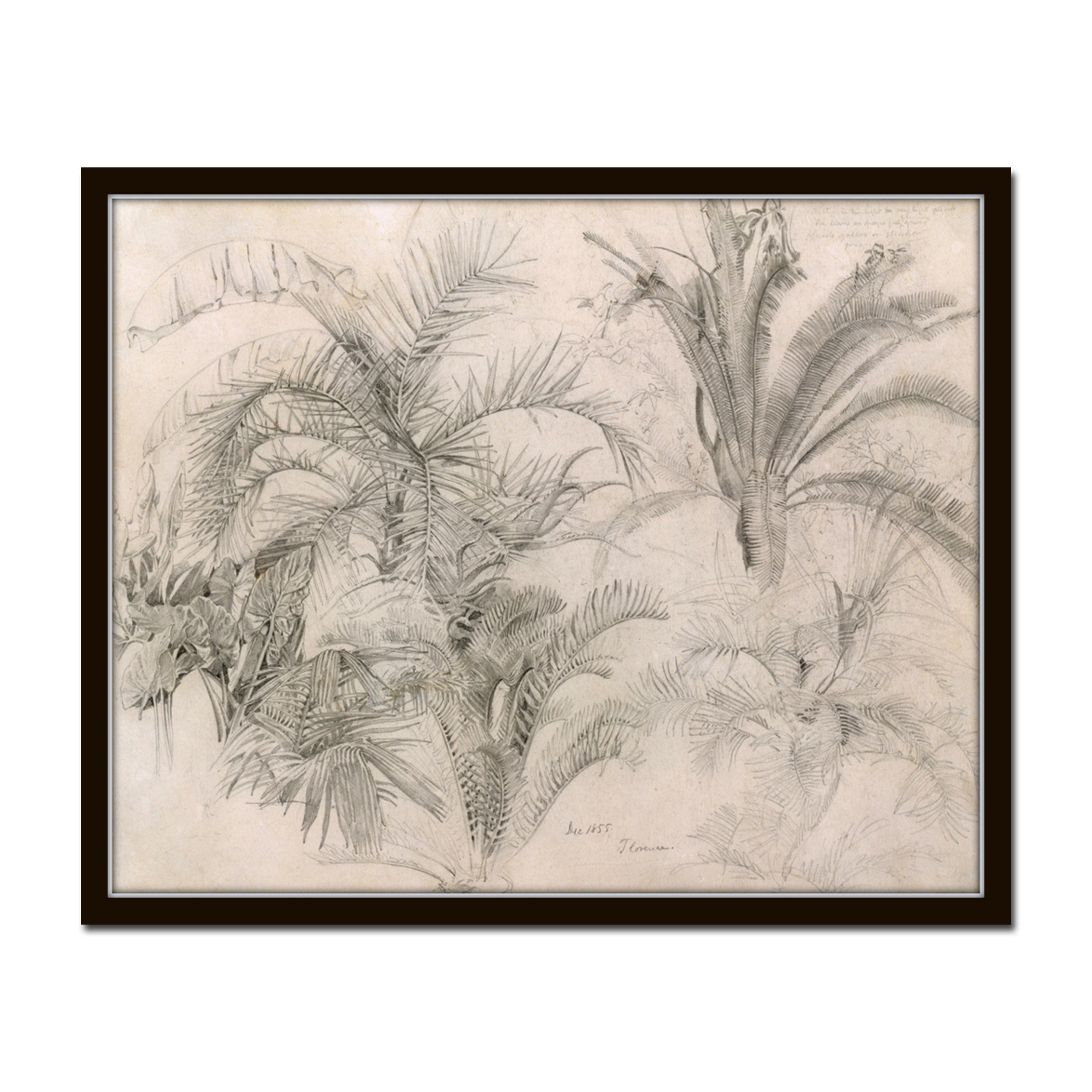 Vintage Palms Sketch Print,  Botanical Art, Botanical Prints, Palm Tree Print, Vintage Painting, Coastal Art Decor, Tropical Art, Wall Art