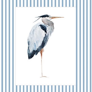 May include: A watercolor painting of a blue heron standing on one leg with its head turned to the side. The heron is painted in shades of blue, gray, and white against a white background.