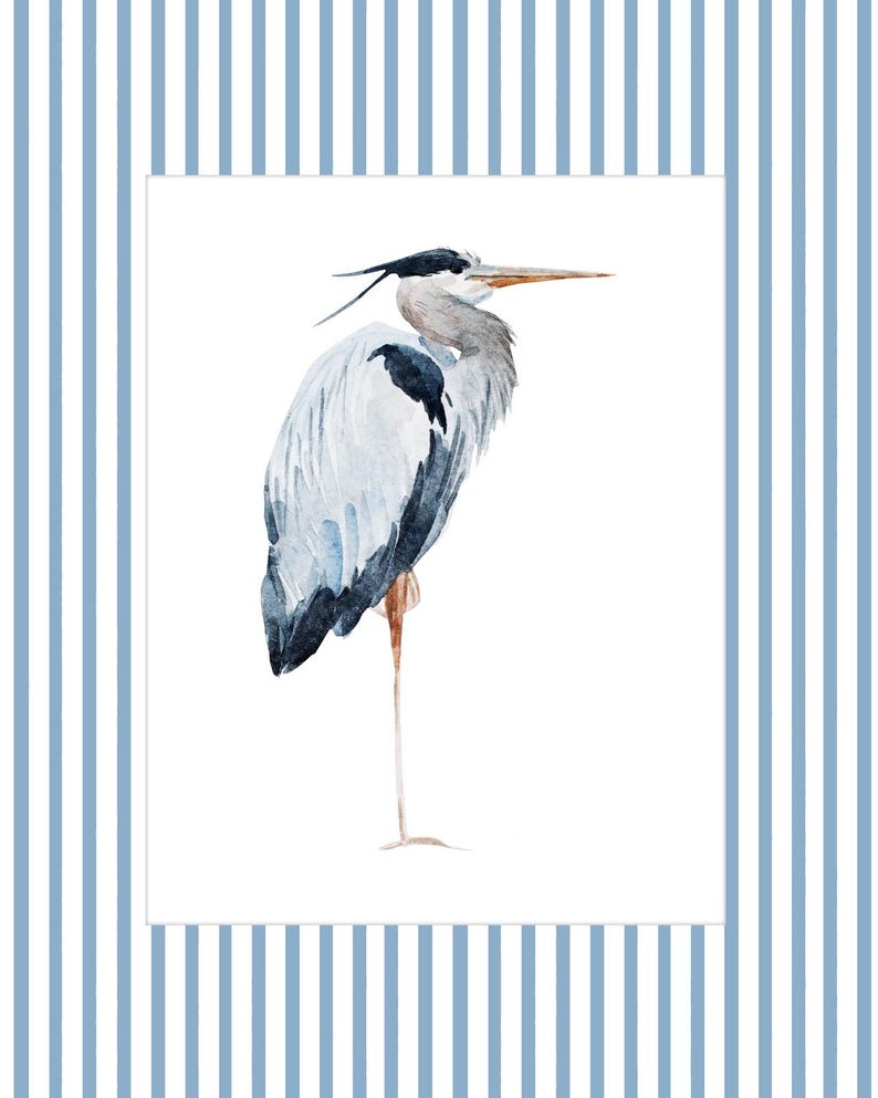 May include: A watercolor painting of a blue heron standing on one leg with its head turned to the side. The heron is painted in shades of blue, gray, and white against a white background.