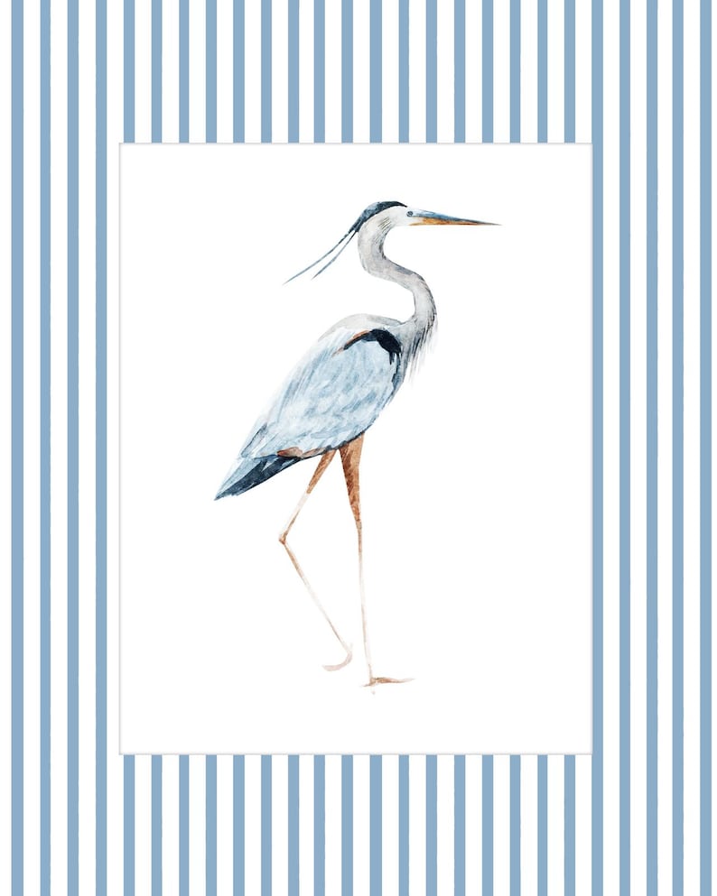 May include: A watercolor painting of a blue heron standing on one leg with its head turned to the right. The bird is on a white background.