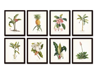 Botanical Print Set No.14, Tropical Botanical Prints, Giclee, Pineapple, Palm Tree, Art, Beach Cottage Decor, Coastal Art, Botanical Print