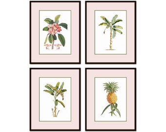 Vintage Tropical Botanical Collage Print Set No. 4, Art Prints, Pineapple, Art, Beach Decor, Coastal Art, Botanical Print Set, Palm Trees