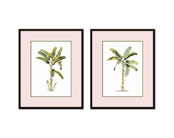 Vintage Palm Trees Collage Print Set No. 5, Art Prints, Coastal Home Decor, Beach Decor, Coastal Art, Botanical Print Set, Palm Tree Prints