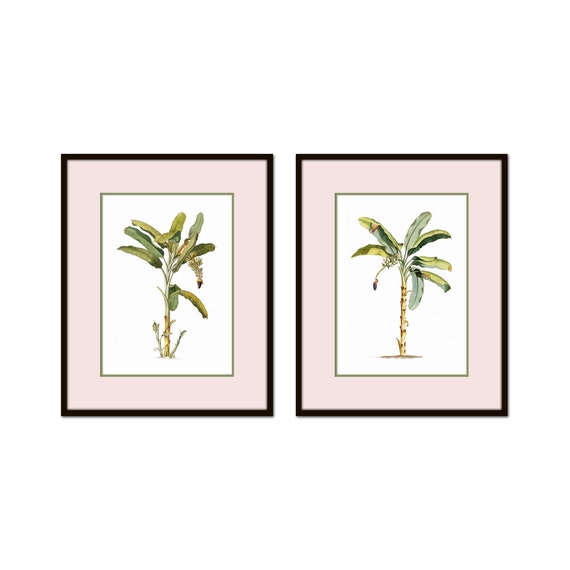 Vintage Palm Trees Collage Print Set No. 5, Art Prints, Coastal Home Decor, Beach Decor, Coastal Art, Botanical Print Set, Palm Tree Prints