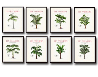 Vintage French Palm Tree Print Set No. 1, Giclee, Art Prints, Coastal Art, Vintage Botanical Prints, Palm Tree Prints, Beach House Art