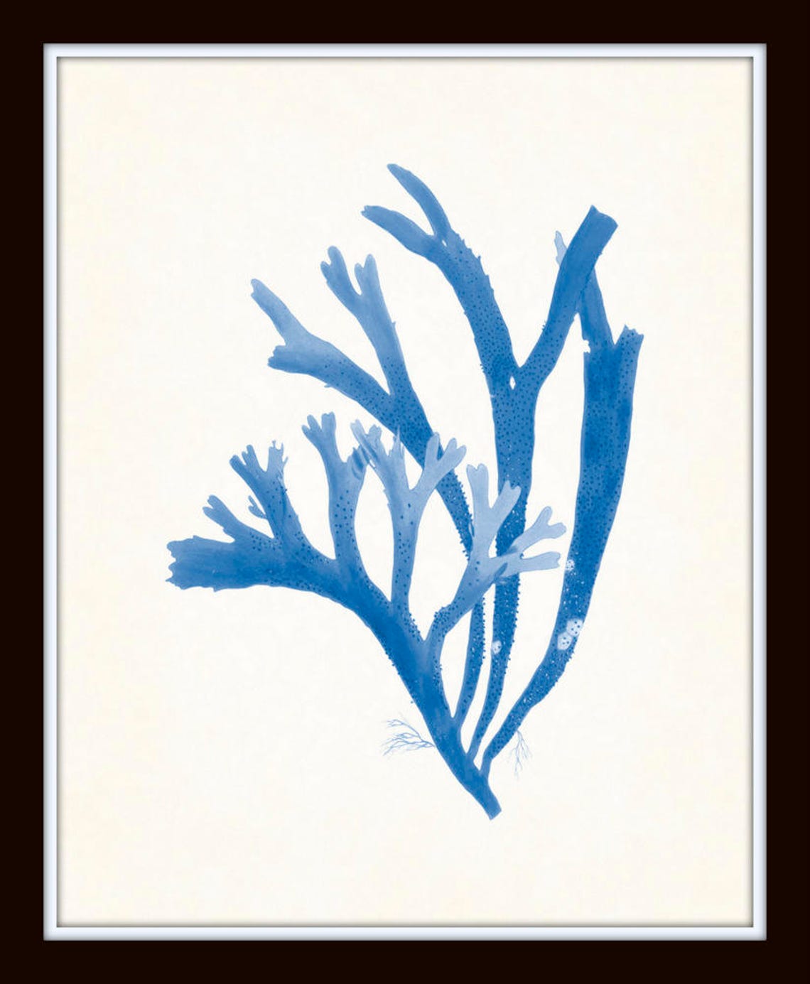 Blue Seaweed Giclee Print Set, Vintage Coastal Wall Art - Etsy