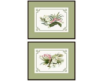 Juego de 2 láminas de orquídeas en acuarela con borde de estilo chinoiserie verde, impresión giclée, arte botánico costero.