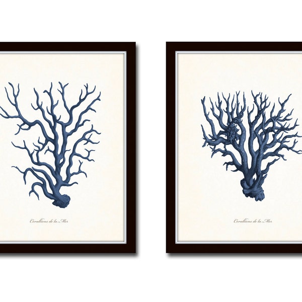 Vintage Blue Sea Coral Print Set No. 5, Coastal Giclee Art