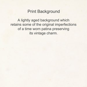 May include: A lightly aged background with a vintage look, featuring subtle imperfections that give it a unique character.