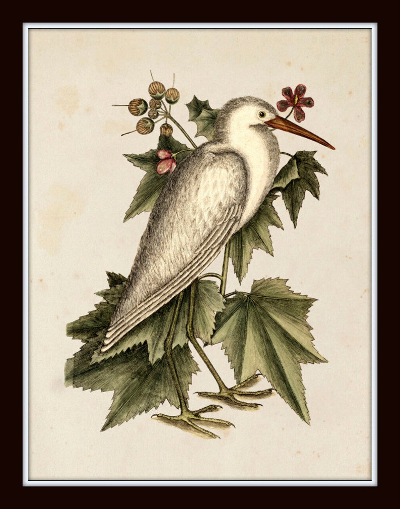 May include: A white egret with a long, orange beak stands on a branch of green leaves with small pink flowers. The bird is facing to the right and its head is tilted slightly to the left. The background is a light beige.