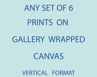 Any Set of Six Prints from the Shop on Gallery Wrapped Canvas, Vertical Portrait Format, Ready to Hang