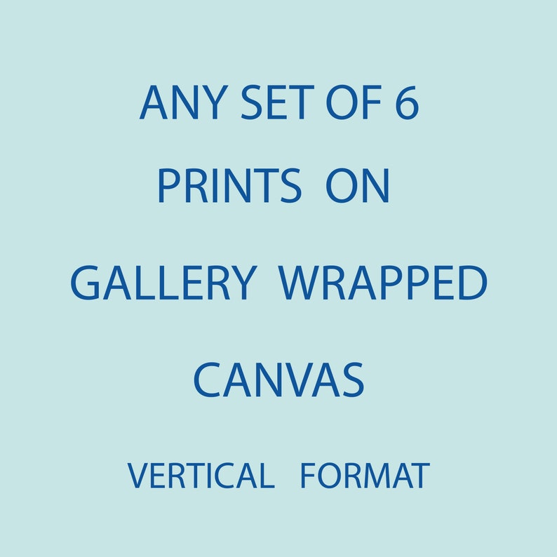 Any Set of Six Prints from the Shop on Gallery Wrapped Canvas, Vertical Portrait Format, Ready to Hang image 1