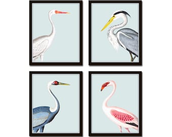 Tropical Sea Bird Portraits No. 1, Giclee, Art Print, Coastal Wall Decor