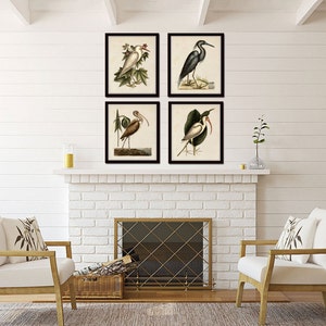 May include: Four framed prints of vintage bird illustrations. The prints are arranged in a square formation on a white brick fireplace mantel. The prints feature a white bird, a blue bird, a brown bird, and a white bird with a black head.