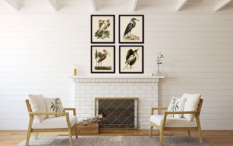 May include: Four framed prints of vintage bird illustrations. The prints are arranged in a square formation on a white brick fireplace mantel. The prints feature a white bird, a blue bird, a brown bird, and a white bird with a black head.