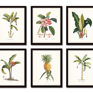 Botanical Print Set No. 13, Tropical Botanical Prints, Giclee, Pineapple, Palm Tree, Art, Beach Cottage Decor, Coastal Art, Botanical Print