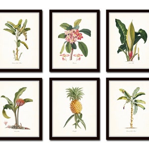 Botanical Print Set No. 13, Tropical Botanical Prints, Giclee, Pineapple, Palm Tree, Art, Beach House Art, Coastal Art, Botanical Print