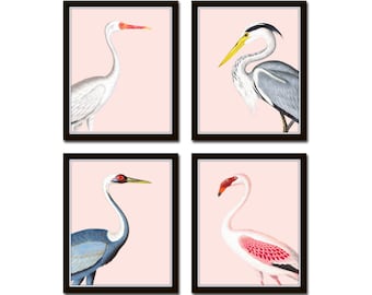 Tropical Sea Bird Portraits No. 2, Vintage Bird Art, Giclee, Coastal Art, Wall Art, Coastal Decor, Beach House Art, Flamingo Print