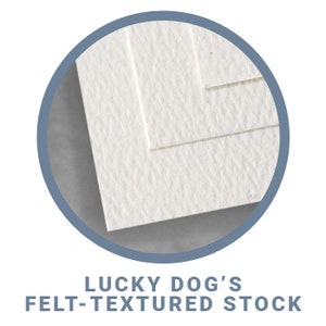 May include: Close-up of a white, textured paper stock. The paper has a subtle, felt-like texture.  Lucky Dog's Felt-Textured Stock.