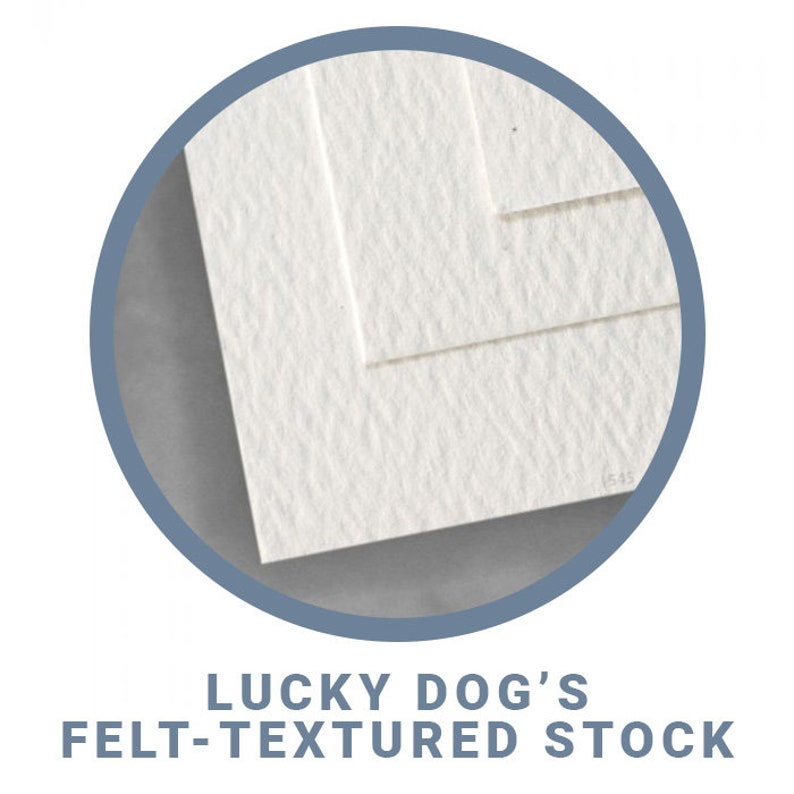 May include: Close-up of a white, textured paper stock. The paper has a subtle, felt-like texture.  Lucky Dog's Felt-Textured Stock.