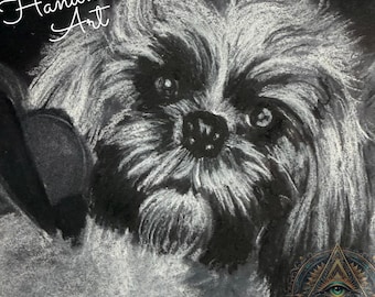 Custom Handmade Charcoal Pet Portrait, Hand Drawn Dog or Cat Artwork, Black & White Animal Memorial Gift, Personalized Original Pet Drawing