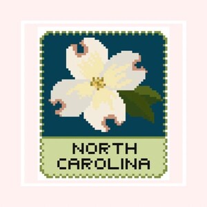May include: A pixelated image of a North Carolina state flower, a white dogwood blossom with pink-tipped petals, set against a dark teal background. The text "NORTH CAROLINA" is displayed in a green banner below the flower.