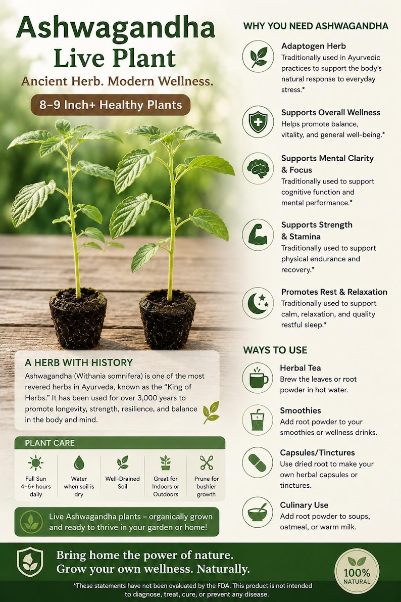 May include: An informational graphic about Ashwagandha live plants, featuring two small plants in pots. The text highlights the plant's benefits, including stress support and mental clarity. The plants are 8-9 inches tall. The graphic also details plant care and ways to use Ashwagandha.