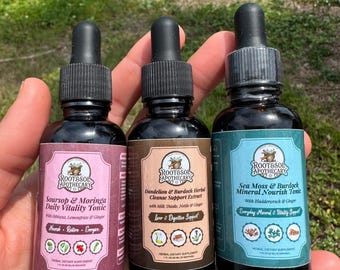 Paquete definitivo de bienestar herbal / Gliceritas herbales de musgo marino, guanábana y diente de león / Set de extractos herbales orgánicos silvestres / Gotas para el bienestar