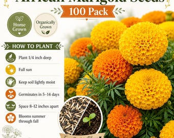 Puede incluir: Un paquete de 100 semillas de caléndula africana con instrucciones de plantación, incluyendo 0,6 cm de profundidad, pleno sol y 20-30 cm de espacio. La imagen muestra flores amarillas y naranjas y una pequeña plántula.